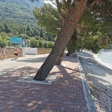 Hostel Zaostrog
